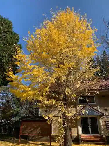 冨士御室浅間神社の自然