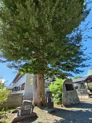 三ツ石神社(岩手県)