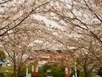 鶴岡八幡宮の自然