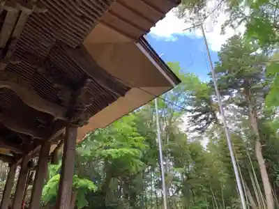 八重垣刑部神社の本殿・本堂