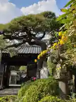 宝泉寺の山門・神門
