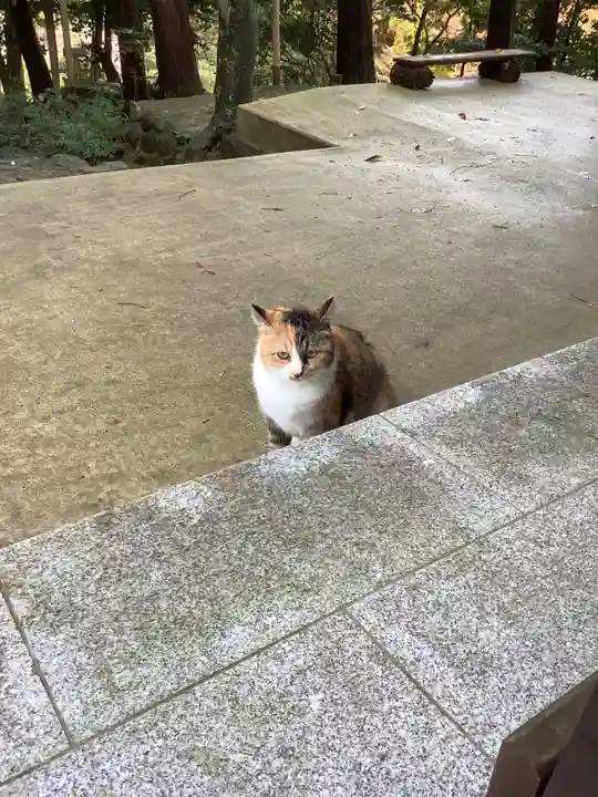 玉野御嶽神社の動物