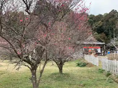 海津天神社の自然