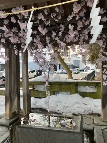熊野大社の手水舎