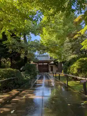 高円寺(東京都)