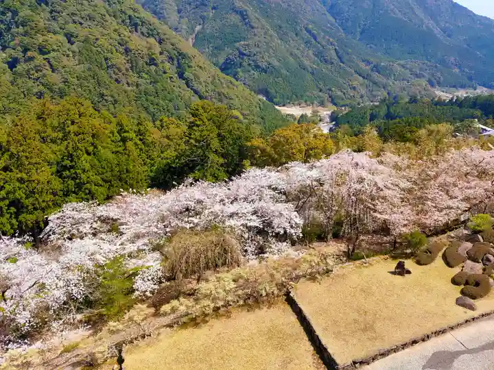 青岸渡寺(和歌山県)