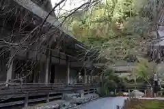 常照皇寺の本殿