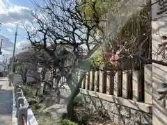 難波熊野神社の自然