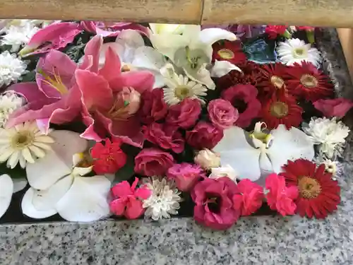 札幌伏見稲荷神社の手水舎