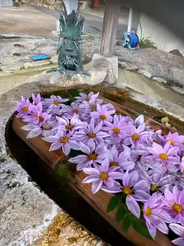 立志神社の手水舎