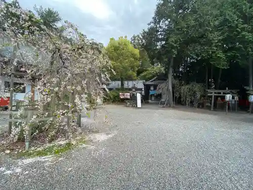 建部大社(滋賀県)