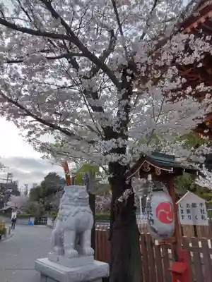 瀧泉寺（目黒不動尊）(東京都)