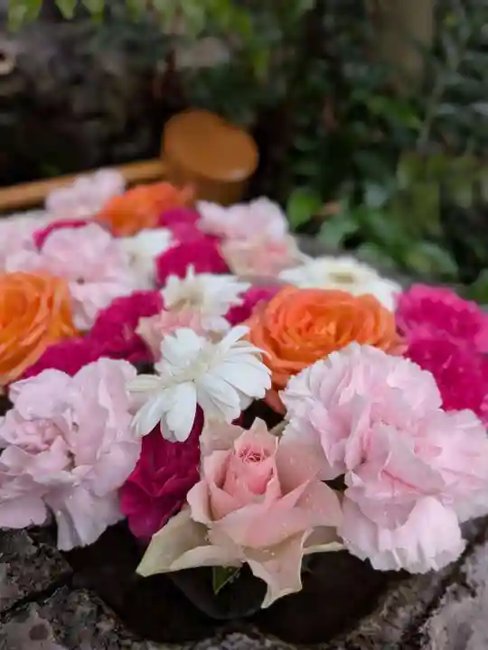 本郷氷川神社(東京都)