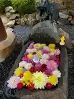 大鏑神社の手水舎