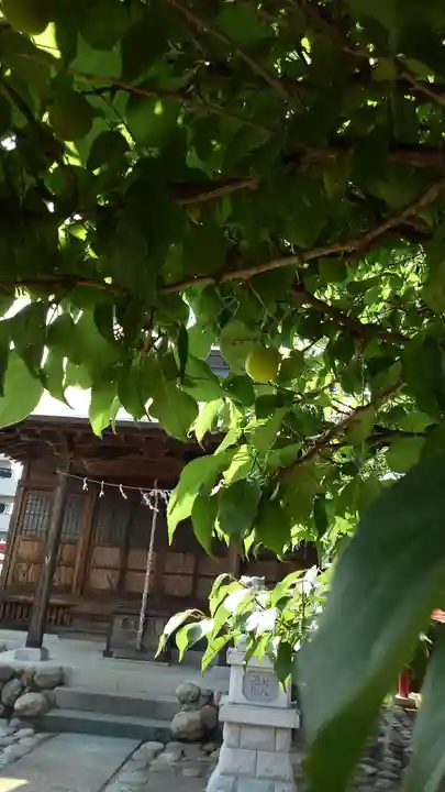 十二神社の本殿・本堂