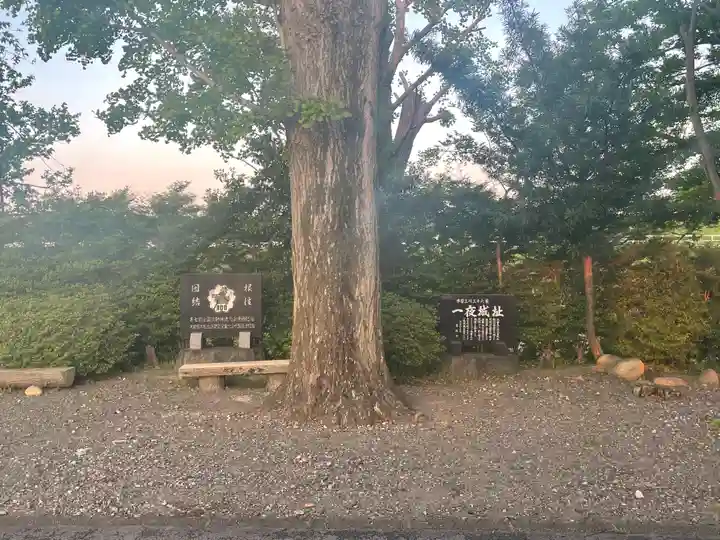 白髭神社の自然
