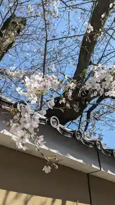 勝林寺(京都府)