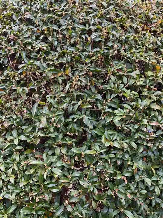 宗栄寺(愛知県)