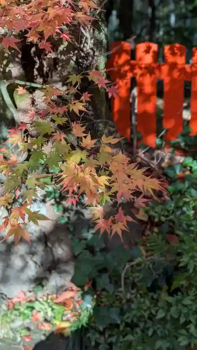 伏見神宝神社(京都府)