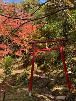 小松寺の鳥居