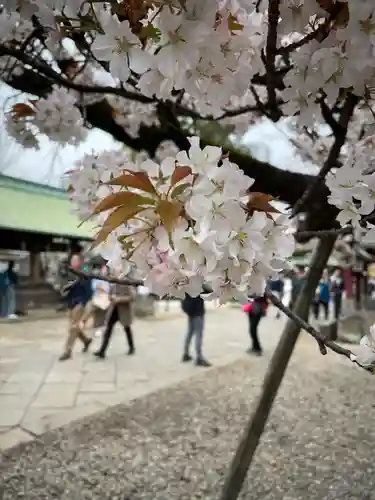 上野東照宮(東京都)