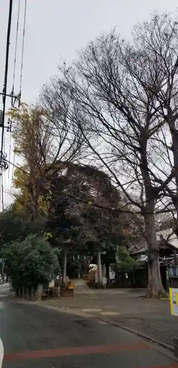 諏方神社の鳥居