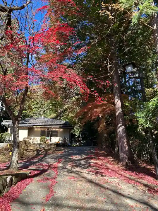 阿智神社前宮(長野県)
