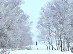 山家神社奥宮の自然