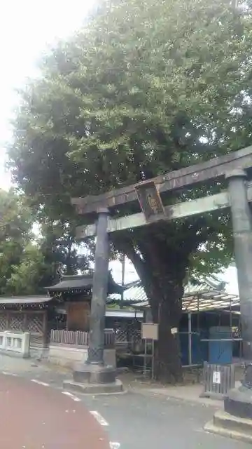 湯島天満宮の鳥居