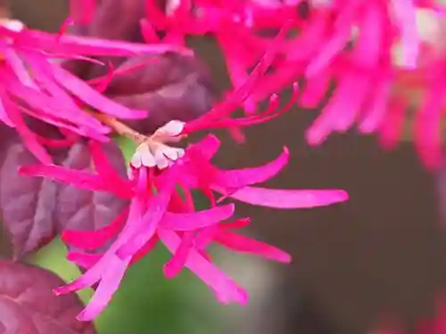 横蔵寺(兵庫県)