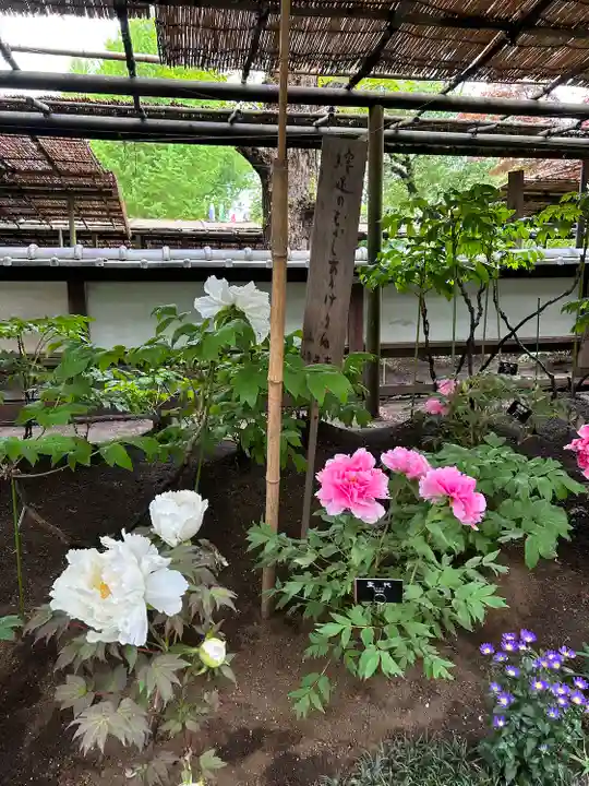 上野東照宮(東京都)