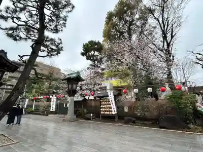 桜神宮(東京都)
