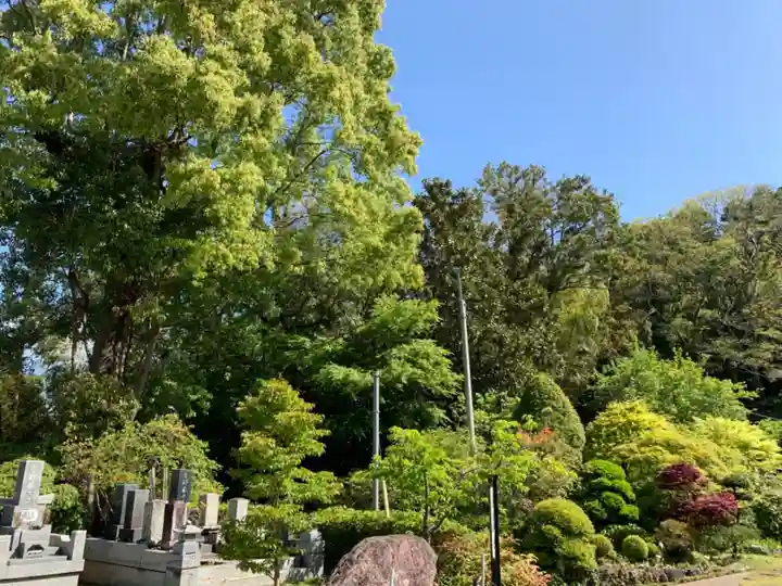 圓蔵寺のその他建物
