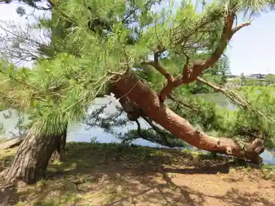 弁財天社の自然