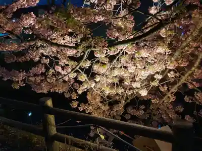 松戸神社(千葉県)
