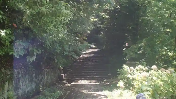 智積院(京都府)