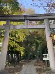 八雲氷川神社(東京都)