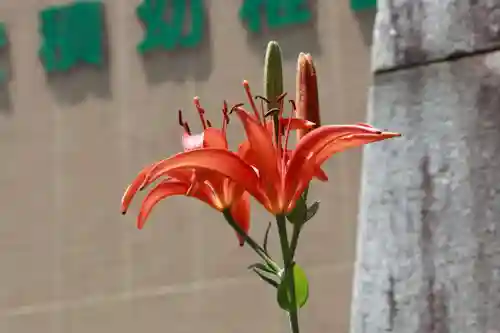 安積國造神社の庭園