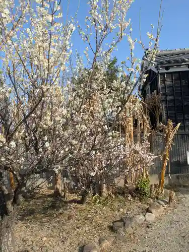 安楽寺(三重県)