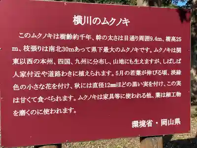 天石門別神社(岡山県)