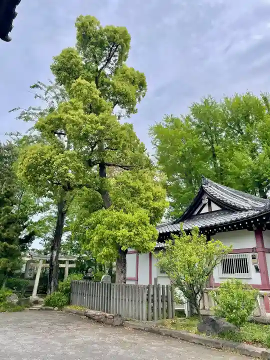 船方神社の{uncategorized: "未分類", other: "その他", undefined: "問題あり", building: "その他建物", grave: "お墓", sacred_gate: "鳥居", guardian: "狛犬", statue: "像", buddha: "仏像", history: "歴史", nature: "自然", garden: "庭園", animal: "動物", pagoda: "塔", temizu: "手水舎", mountain_gate: "山門・神門", sanctuary: "本殿・本堂", subordinate: "末社・摂社", art: "芸術", scenery: "景色", jizo: "地蔵", ema: "絵馬", goshuin: "御朱印", omikuji: "おみくじ", items: "授与品その他", amulet: "お守り", goshuincho: "御朱印帳", eats: "食事", festival: "お祭り", votive_dance: "神楽", shichigosan: "七五三参", wedding: "結婚式", experience: "体験その他", initially: "初詣", around: "周辺", anti_infection: "感染症対策"}