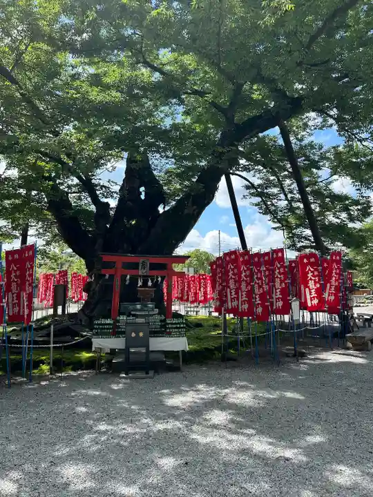 秩父今宮神社(埼玉県)