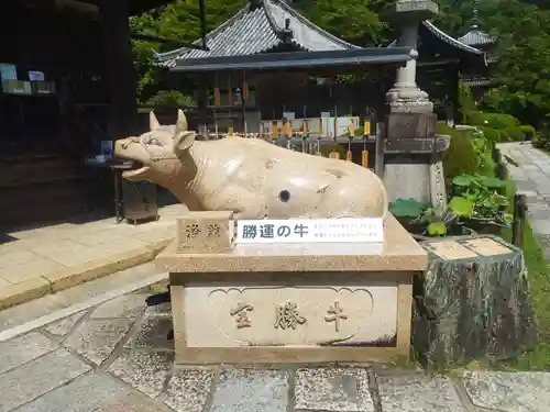 三室戸寺(京都府)