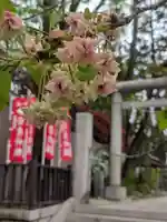 下神明天祖神社(東京都)