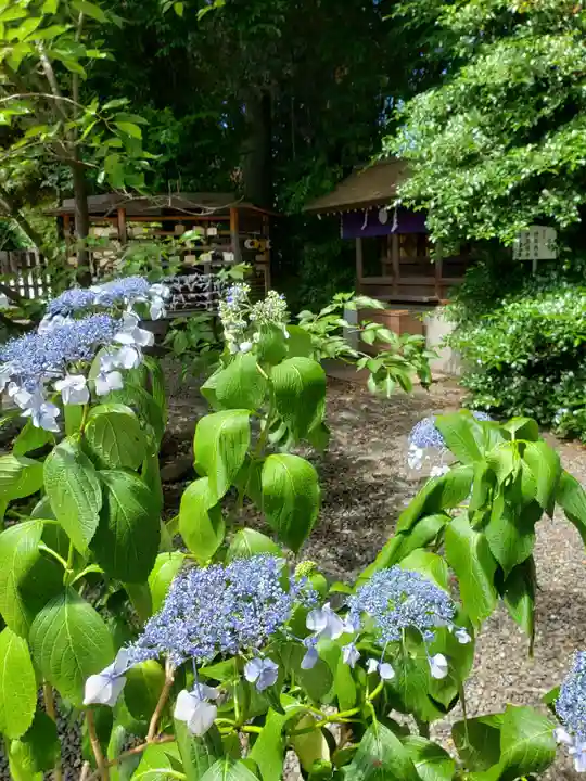 阿佐ヶ谷神明宮(東京都)