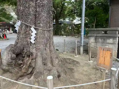芳川神社(埼玉県)