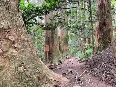 幣立神宮(熊本県)