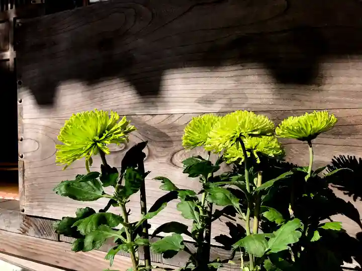 高司神社〜むすびの神の鎮まる社〜の自然