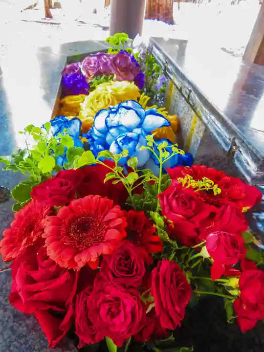 新琴似神社(北海道)