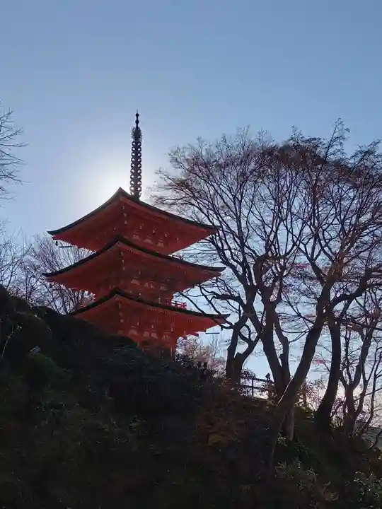 岡寺(龍蓋寺)(奈良県)